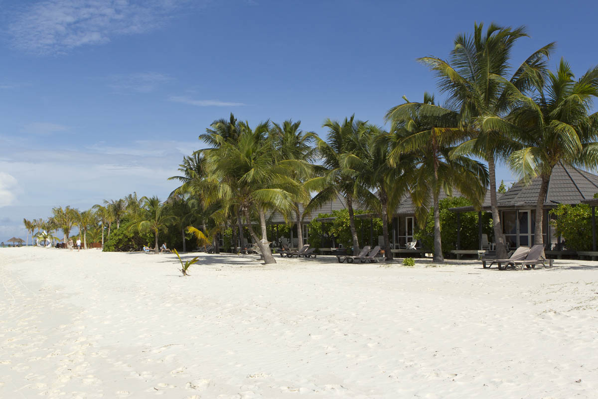Download this Erfahrungsbericht Kuredu Island Resort Malediven picture
