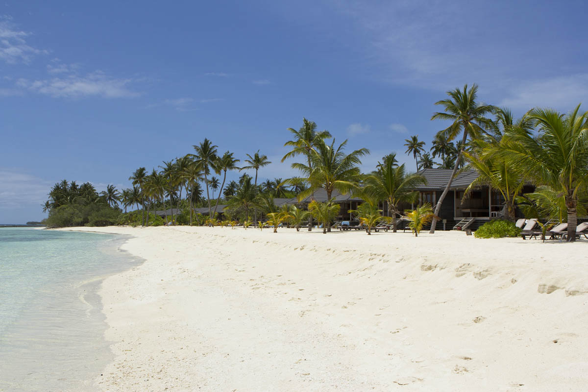 Download this Erfahrungsbericht Kuredu Island Resort Malediven picture