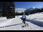 Winterwanderweg Iltios - Alp Sellamatt