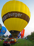 Ballontage Alpenrheintal 2010 - Toggenburger