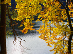 Herbst beim Hechtsee - Kufstein, Tirol