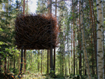Treehotel - Birds Nest 1
