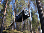Treehotel - Cabin 1